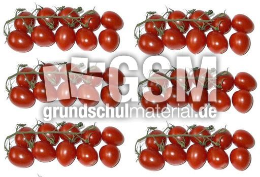 Tomaten6x10.jpg